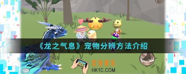 龙之气息宠物怎么分辨_宠物分辨方法