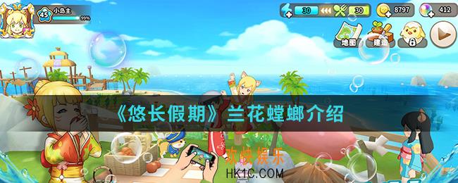 悠长假期兰花螳螂怎么样_兰花螳螂