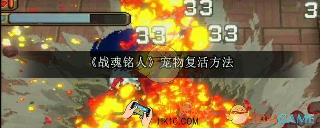 战魂铭人宠物怎么复活_宠物死了怎么办