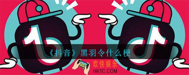 抖音黑羽令什么梗_黑羽令梗的介绍