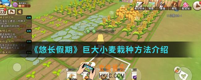 悠长假期巨大小麦怎么栽种_巨大小麦栽种方法