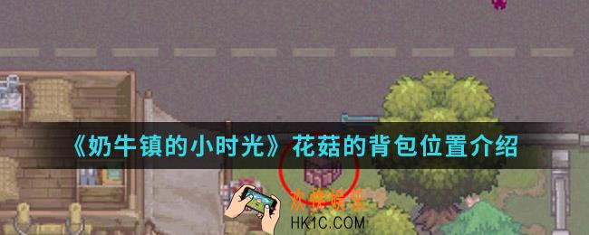 奶牛镇的小时光花菇的背包在哪_花菇的背包位置