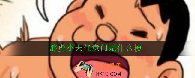 胖虎小夫任意门是什么梗_出处意思详解