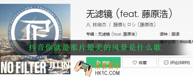 抖音你就是那片最美的风景是什么歌_歌曲歌词详解