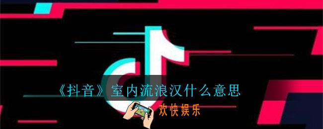 抖音室内流浪汉什么意思_室内流浪汉意思介绍