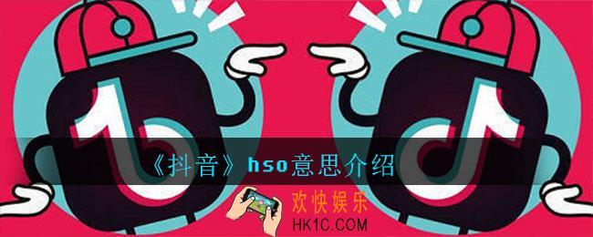 抖音hso是什么意思_hso意思介绍