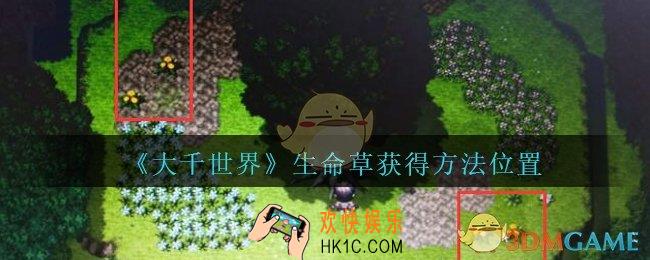 大千世界生命草怎么得/在哪_大千世界手游生命草获得方法位置