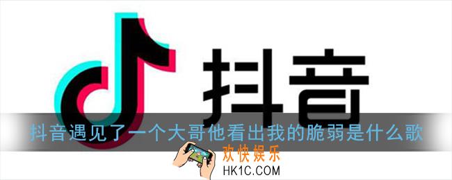 遇见了一个大哥他看出我的脆弱是什么歌_抖音小富豪续集歌词