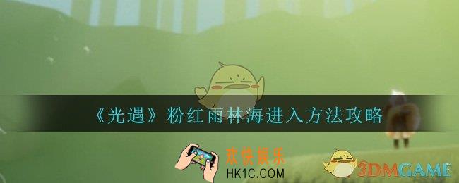 光遇粉红雨林海怎么进_隐藏粉红雨林海进入方法