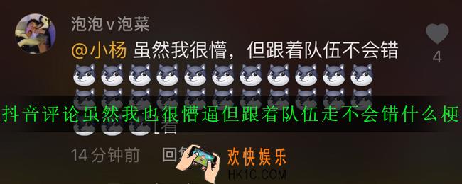 抖音评论虽然我也很懵逼但跟着队伍走不会错什么梗_意思出处详解