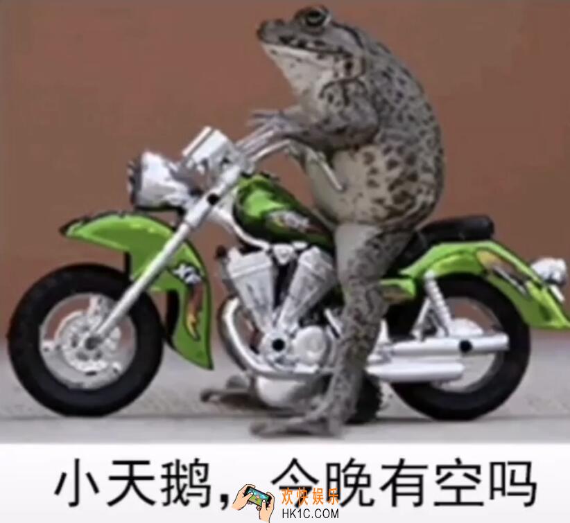 小天鹅今晚有空吗表情包原图_抖音小天鹅今晚有空吗图片下载