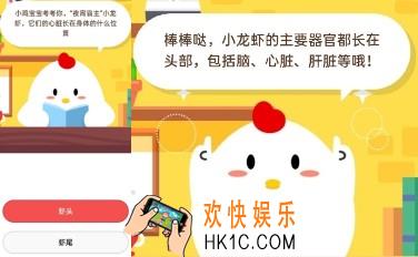夜宵霸主小龙虾它们的心脏长在身体的什么位置_7月9日庄园小课堂每日一题答案