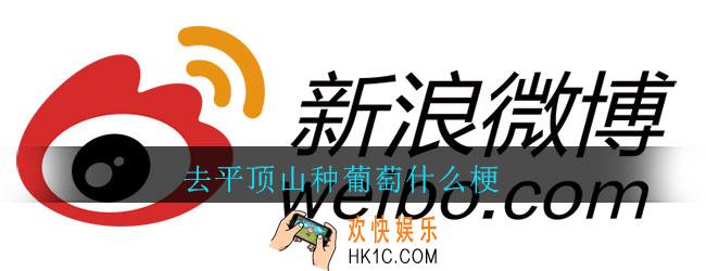 去平顶山种葡萄什么梗_去平顶山种葡萄梗出处介绍