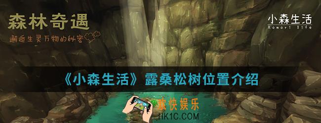 小森生活露桑松树在哪_露桑松树位置