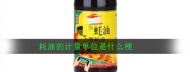 耗油的计量单位是什么梗_出处意思详解
