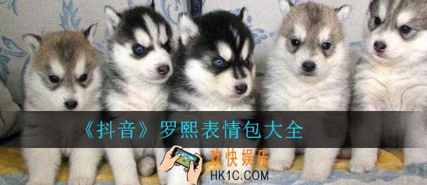 抖音罗熙表情包大全_罗熙表情包