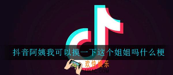 阿姨我可以摸一下这个姐姐吗什么梗_阿姨我可以摸一下这个姐姐吗