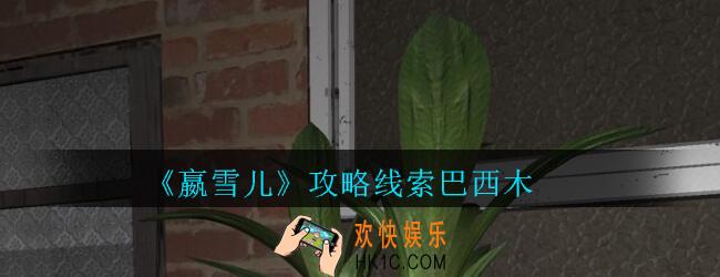 嬴雪儿攻略线索巴西木获得方法_孙美琪疑案嬴雪儿巴西木线索在哪里