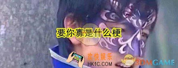 要你寡什么意思_要你寡是什么梗