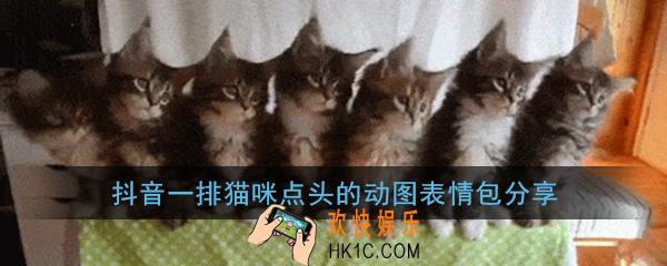 抖音点头猫表情包无水印原图_一排猫咪点头的动图