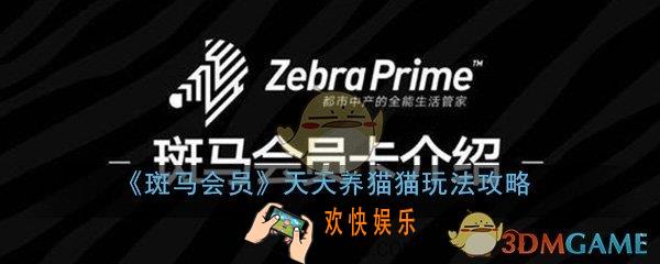 斑马会员天天养猫猫怎么玩_天天养猫猫玩法攻略