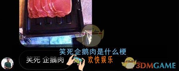 笑死企鹅肉是什么梗_笑死企鹅肉梗意思及来源出处详细介绍一览