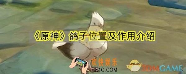 原神鸽子在哪_鸽子位置作用介绍
