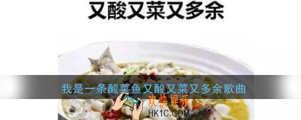 抖音我是一条酸菜鱼又酸又菜又多余是什么歌_歌词歌曲完整版分享