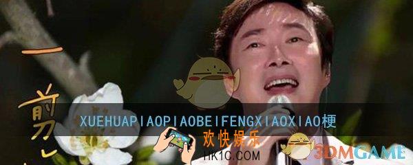 XUEHUAPIAOPIAOBEIFENGXIAOXIAO是什么梗_费玉清一剪梅欧美歌词梗意思介绍