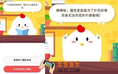 猫为什么要吃老鼠_6月15日支付宝每日一题
