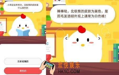 北极熊的皮肤是什么颜色的_6月14日支付宝每日一题