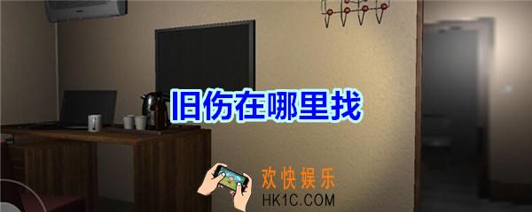 袁家宾馆线索旧伤在哪里找_孙美琪疑案袁家宾馆旧伤线索位置