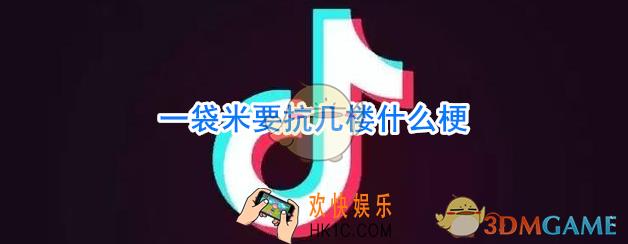 一袋米要抗几楼什么意思_一袋米要抗几楼什么梗