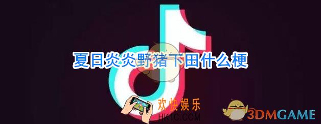 夏日炎炎野猪下田什么梗_夏日炎炎野猪下田什么意思