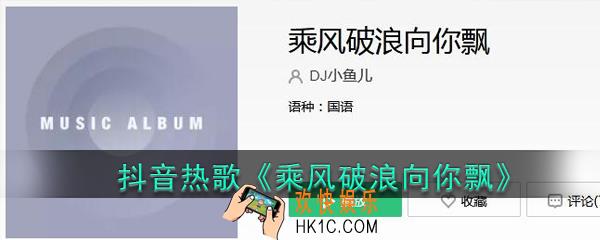 抖音我像只落单的鸟漫无边际的寻找是什么歌_DJ小鱼儿新歌