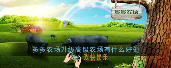 多多农场升级高级农场有什么好处_多多农场高级农场升级权益介绍