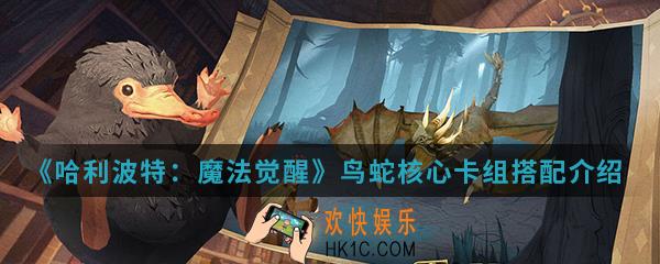 哈利波特魔法觉醒鸟蛇核心卡组怎么搭配_鸟蛇核心卡组搭配