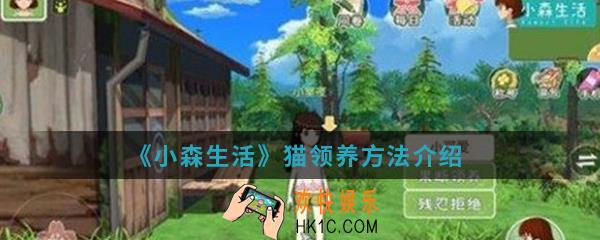 小森生活猫怎么领养_猫领养方法