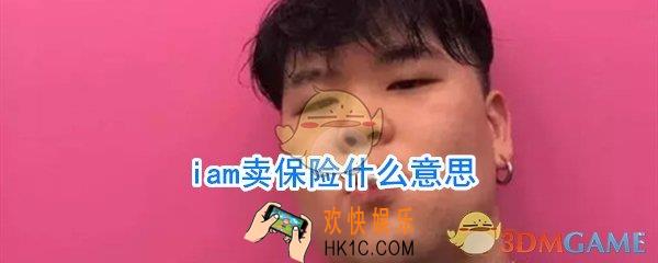 iam卖保险什么梗_iam卖保险什么意思