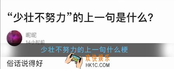 少壮不努力的上一句什么梗_少壮不努力的上一句意思出处详解