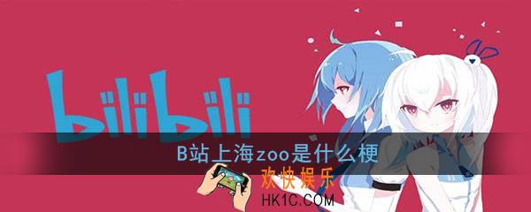 B站上海zoo是什么梗_B站上海zoo意思出处详解