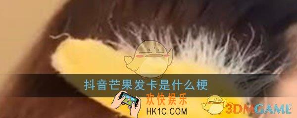 抖音芒果发卡是什么梗_芒果发卡意思含义介绍