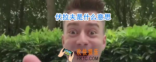 伏拉夫是什么意思_伏拉夫怎么了
