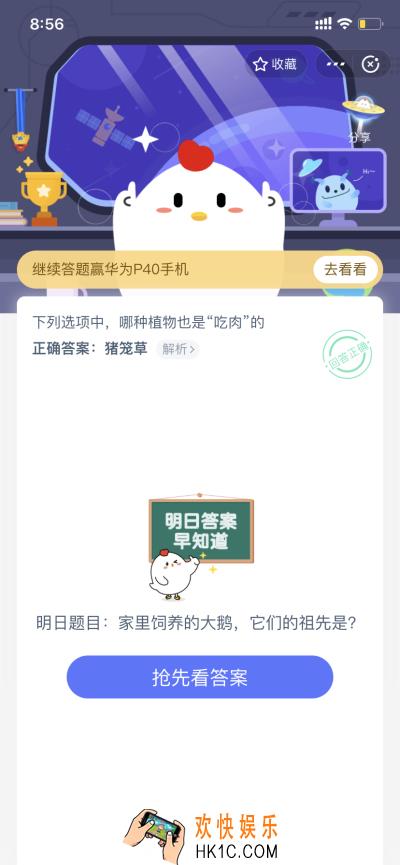 家里饲养的大鹅，它们的祖先是_5月15日支付宝每日一题