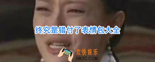 终究是错付了表情包_甄嬛终终究是错付了表情包