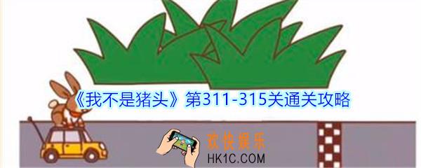 我不是猪头第311
