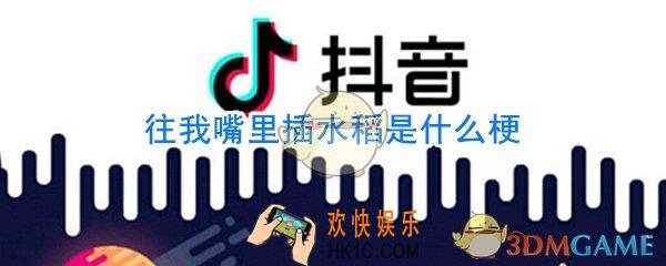 往我嘴里插水稻什么梗_直接在我嘴里种水稻什么意思