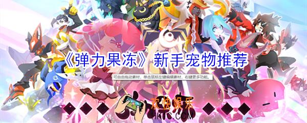 弹力果冻新手带什么宠物_弹力果冻新手宠物推荐