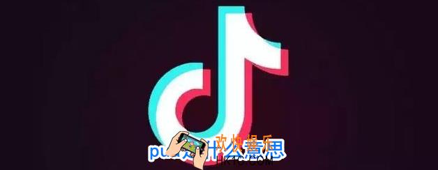 pua是什么意思_pua名词解释