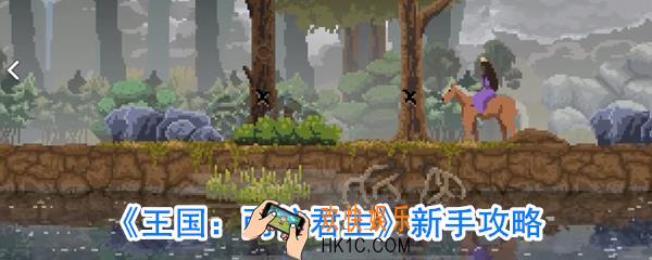 王国两位君主新手怎么玩_入门攻略